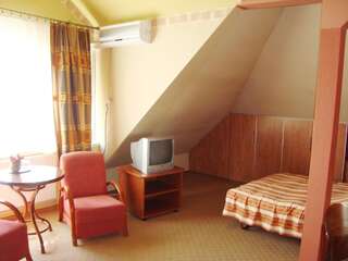 Мотели Motel Zacisze Ломжа Улучшенный двухместный номер с 1 кроватью-8